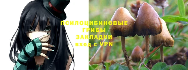 метадон Дмитриев