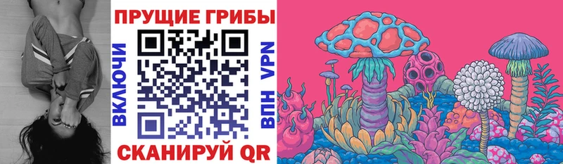 даркнет состав Нахабино Галлюциногенные грибы Cubensis
